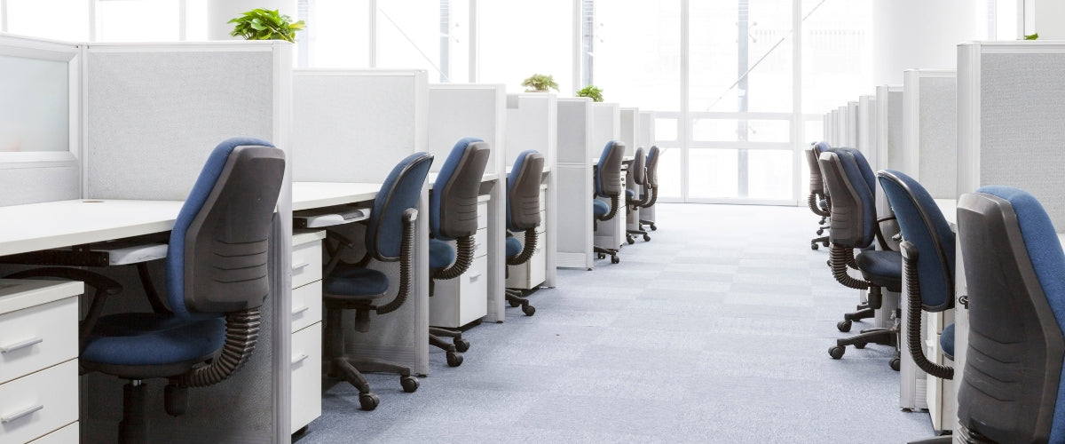 modern office environment with multiple workstations arranged in rows.