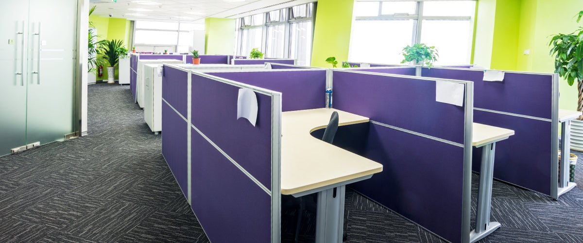 A spacious, well-lit office with a row of individual workspaces separated by purple partitions. Each desk has a beige desktop and a black chair. The floor is carpeted in a gray and white pattern.